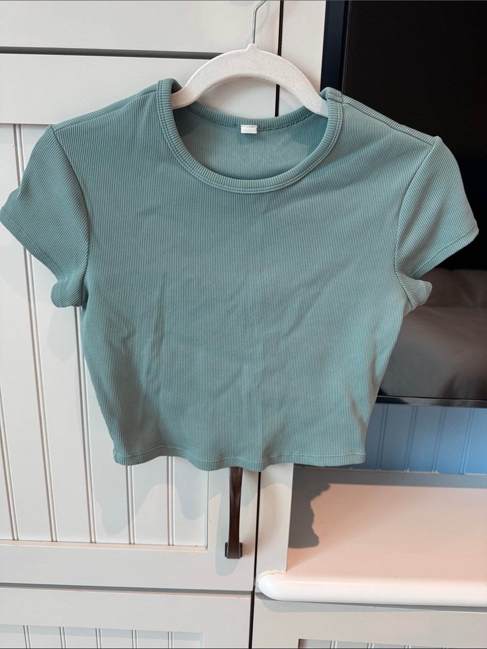 ALO Yoga Ribbed Crop Tee in Sage